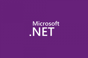 .NET Framework